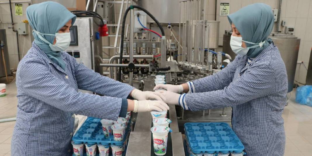 9 kadından günlük 7 ton üretim: Sütten çeşit çeşit lezzet elde ediyorlar 2